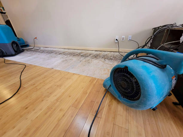 Professional Flood Damage Cleanup technician working in Leming, TX